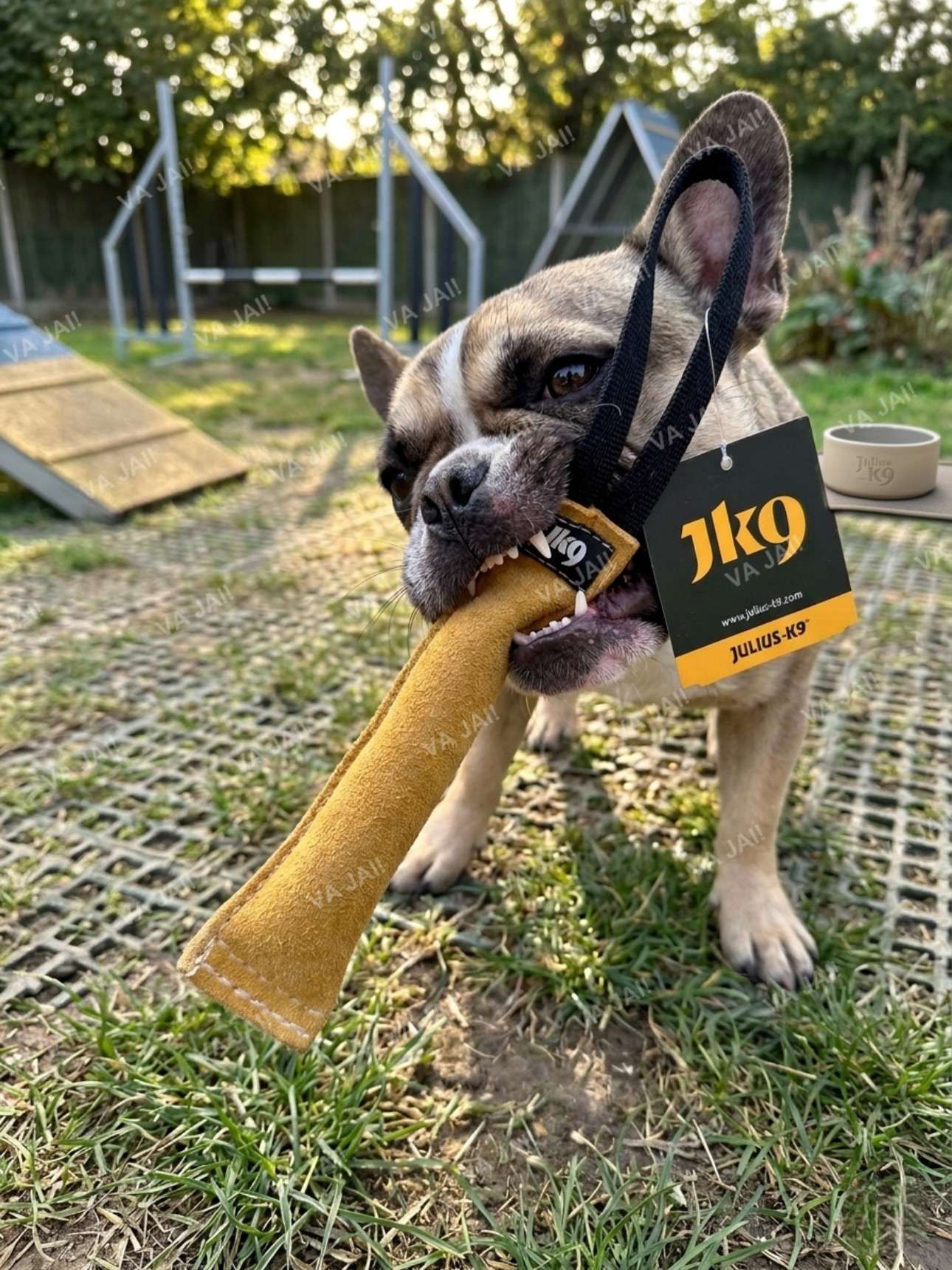 Julius-K9 tug natūralios odos žaislas šunims