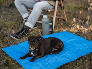 DOGMAN vėsinantis kilimėlis augintiniams „Blå“