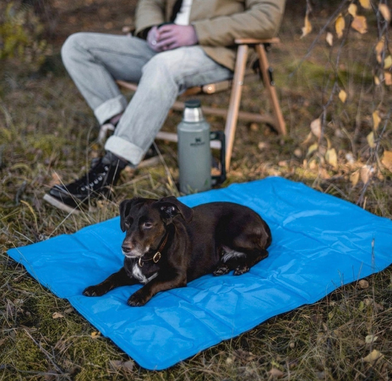 DOGMAN vėsinantis kilimėlis augintiniams „Blå“