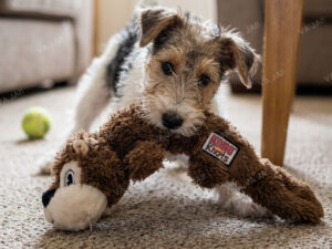 KONG knots patvarus pliušinis žaislas šunims „Squirrel“ S/M