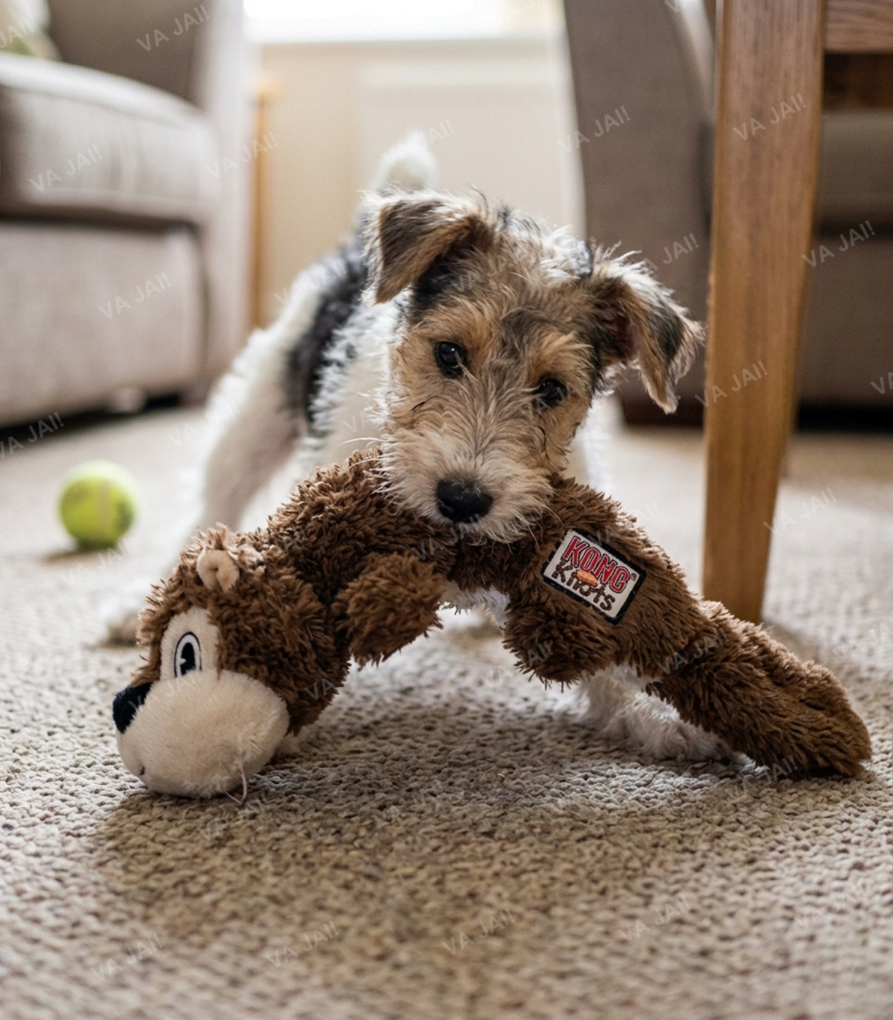 KONG knots patvarus pliušinis žaislas šunims „Squirrel“ S/M