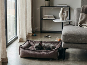 LEX & MAX gultas šunims „Amsterdam“