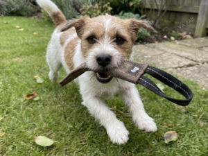 Julius-K9 tug natūralios odos žaislas šunims