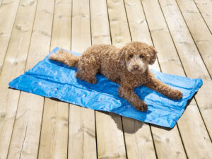 DOGMAN vėsinantis kilimėlis augintiniams „Blå Drop“