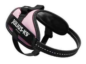 Julius-K9 IDC Powair petnešos šunims