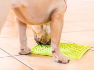 BUDDY silikoninis laižymo kilimėlis šunims „LickiMat“