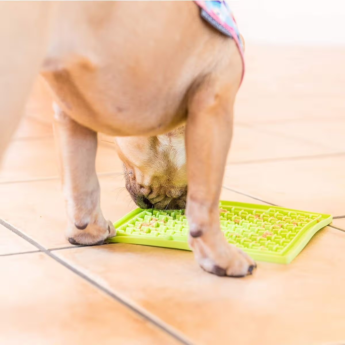 BUDDY silikoninis laižymo kilimėlis šunims „LickiMat“