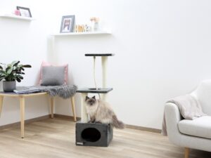 KERBL PET draskyklė katėms „Platin Pro“