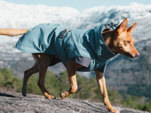 HURTA striukė šunims „Expedition parka“