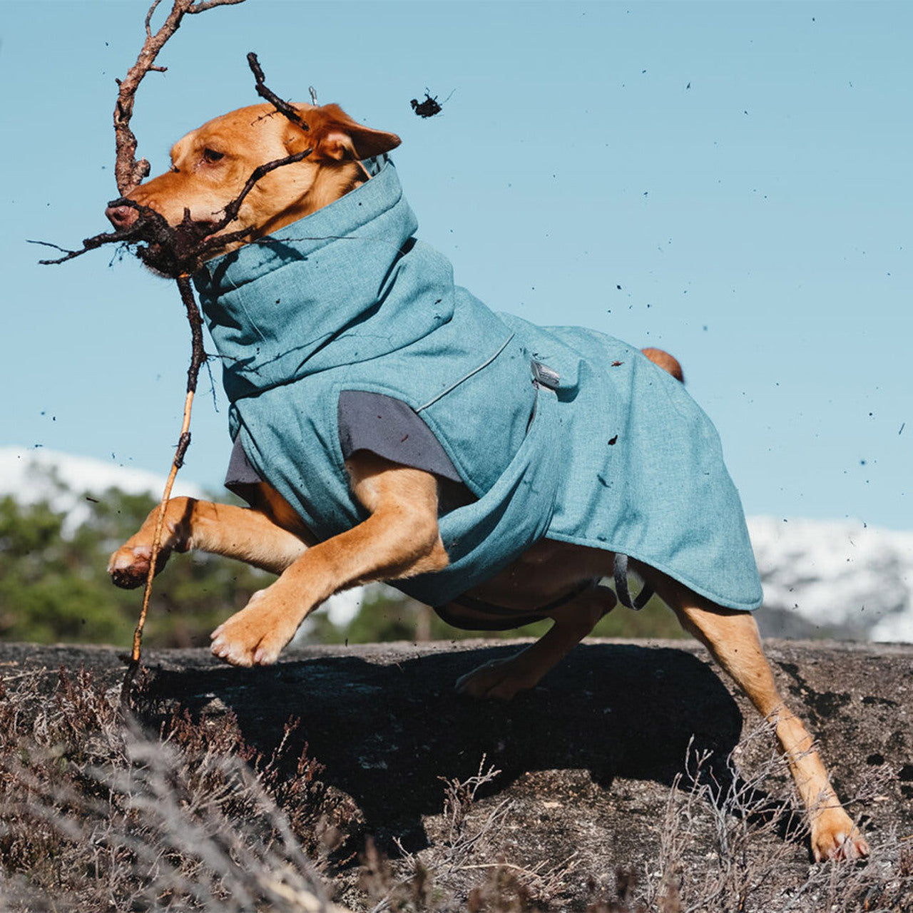 HURTA striukė šunims „Expedition parka“ - Image 3