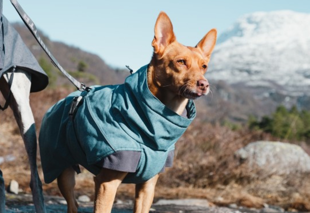 HURTA striukė šunims „Expedition parka“ - Image 5