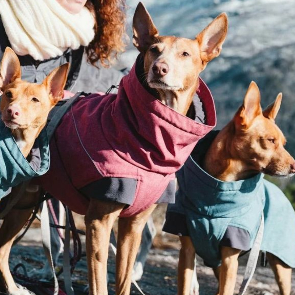 HURTA striukė šunims „Expedition parka“ - Image 7