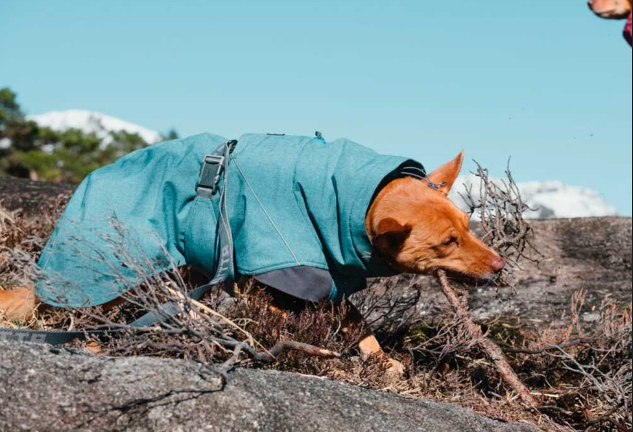 HURTA striukė šunims „Expedition parka“ - Image 6