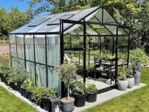 MetalCraft stiklinis šiltnamis „142-2-12“ (8m²)