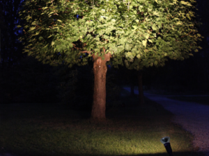 E27 Lauko LED lemputė „Par38 Spotlight“
