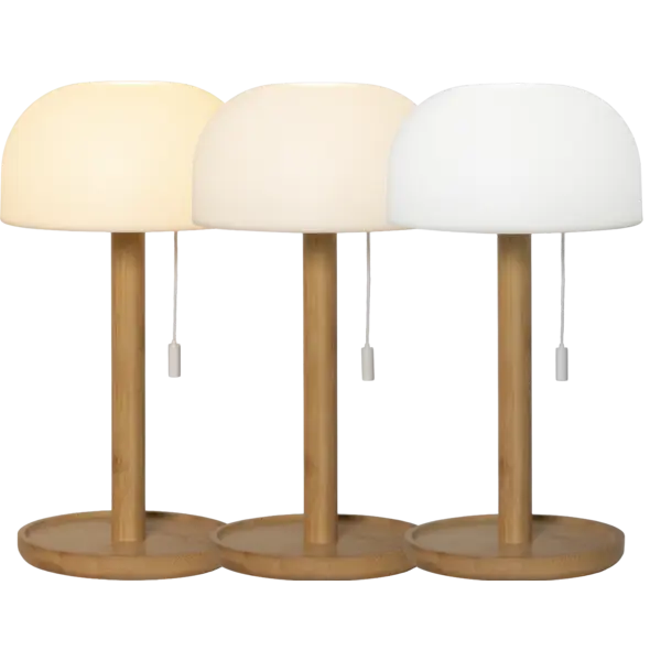 Lauko šviestuvas „Tara“ - Image 12