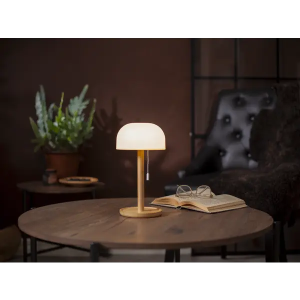 Lauko šviestuvas „Tara“ - Image 6