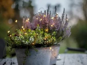 Dekoratyvinė girlianda „Dew Drop Outdoor“