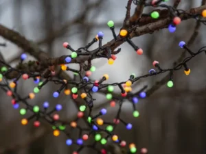 LED girlianda „Berry Mini“